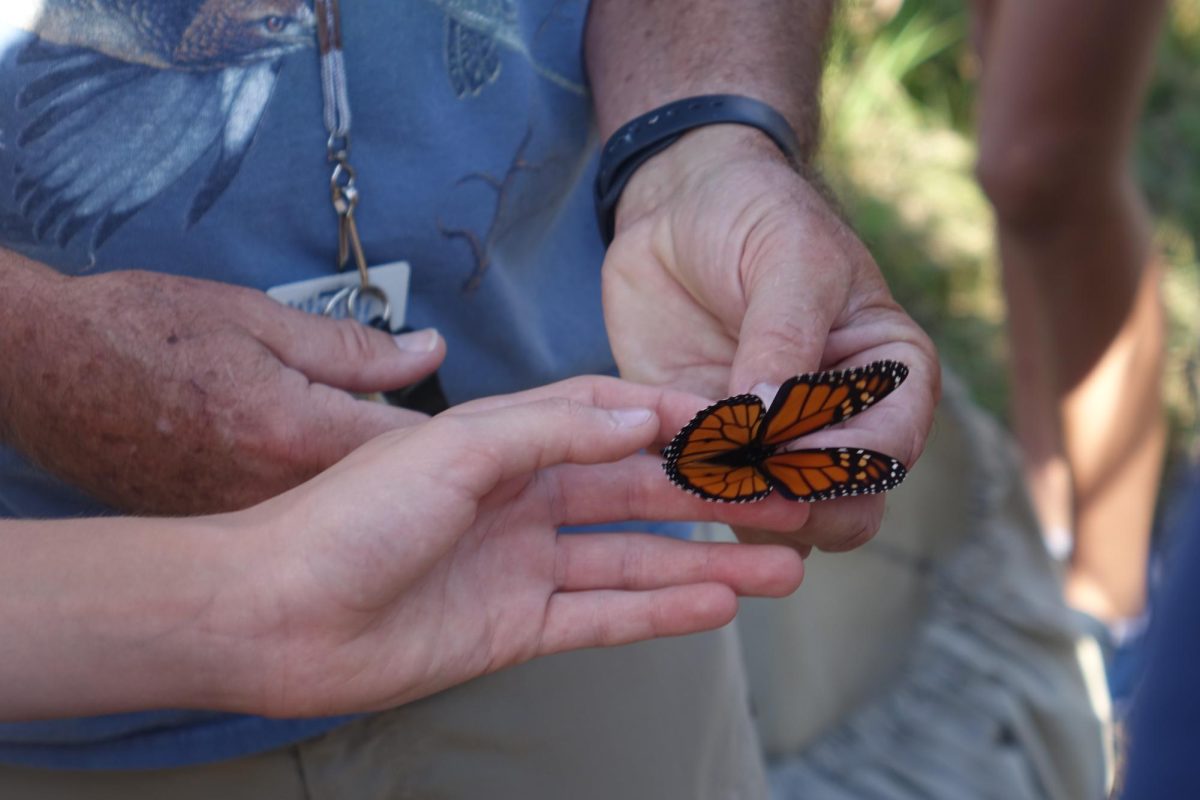 On October 5th at WRMS, substitute teacher Mr. Tubbs held a Monarch butterfly carefully for the students to admire. It was the only one we caught, but we didnt get it tagged, Tubbs said.