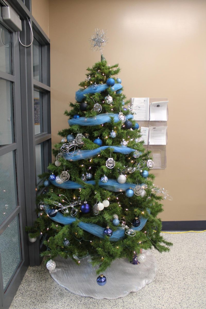 The Christmas tree in the office at WRMS.
