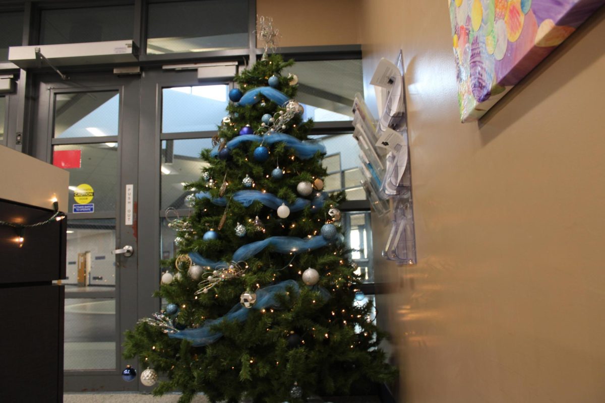 A big tree lights up the office, making  it feel more festive. 
